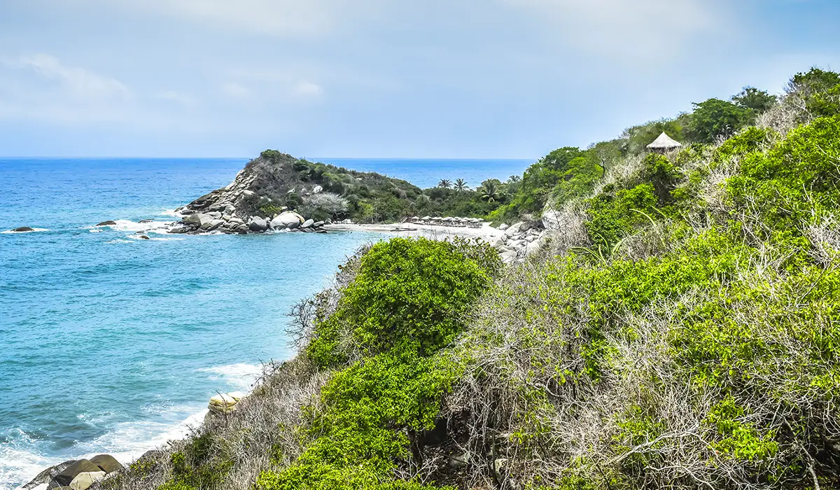 cañaveral parque tayrona