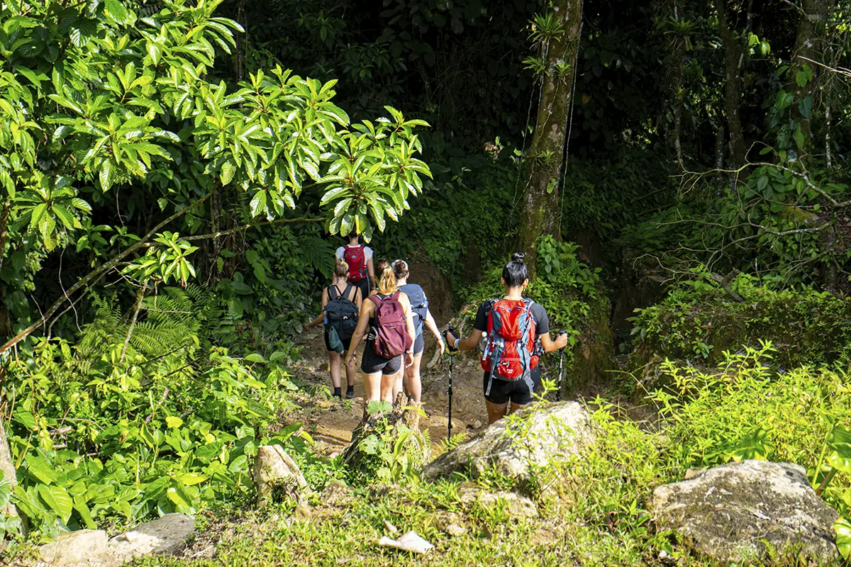 que llevar a ciudad perdida